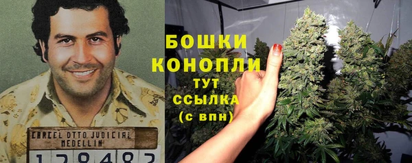крисы Армянск