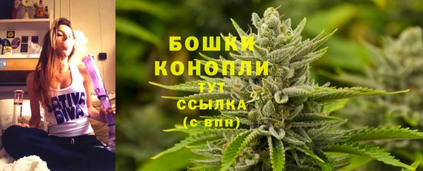 крисы Армянск