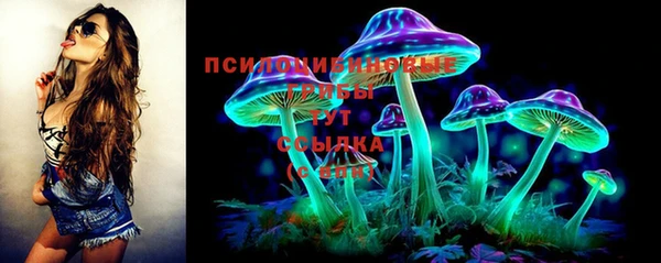 винт Аркадак