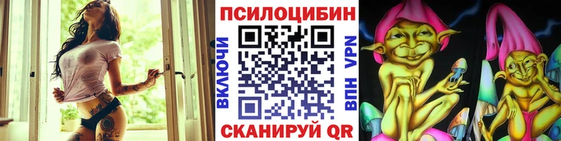 Галлюциногенные грибы мицелий  где можно купить наркотик  кракен зеркало  Усть-Джегута 